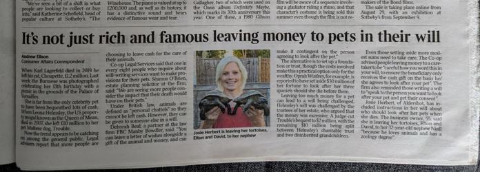 Tortoises In The Times 19Th August 2024